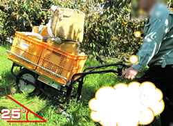 電動充電式三輪台車120KG急勾配対応M2906SW-120KG