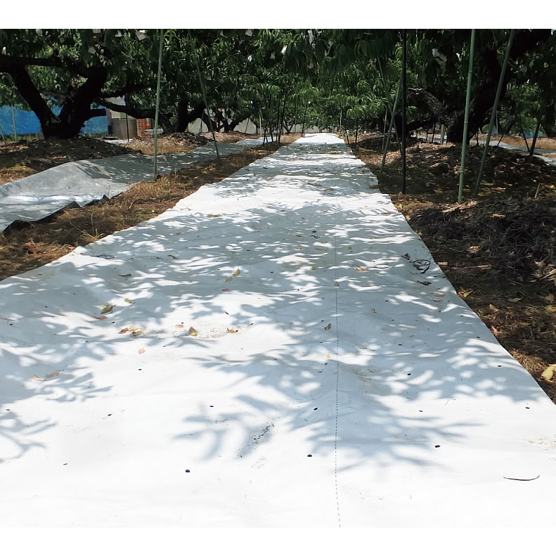 遮熱シート高耐久タイプ（1.8×1.8m）M1436SNT-SP1818H