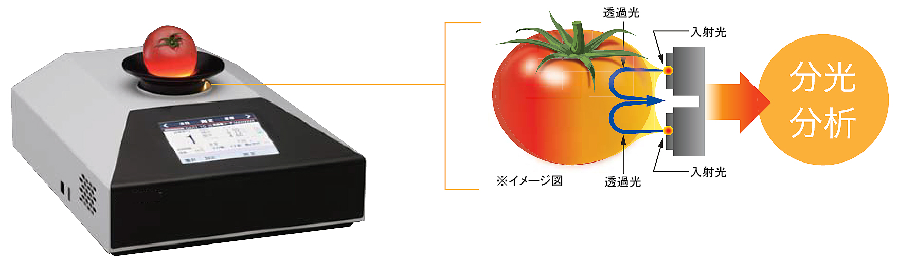 卓上型非破壊糖度・酸度・重量計（リンゴ）/MB32SS-D900LCK | シロ産業 |