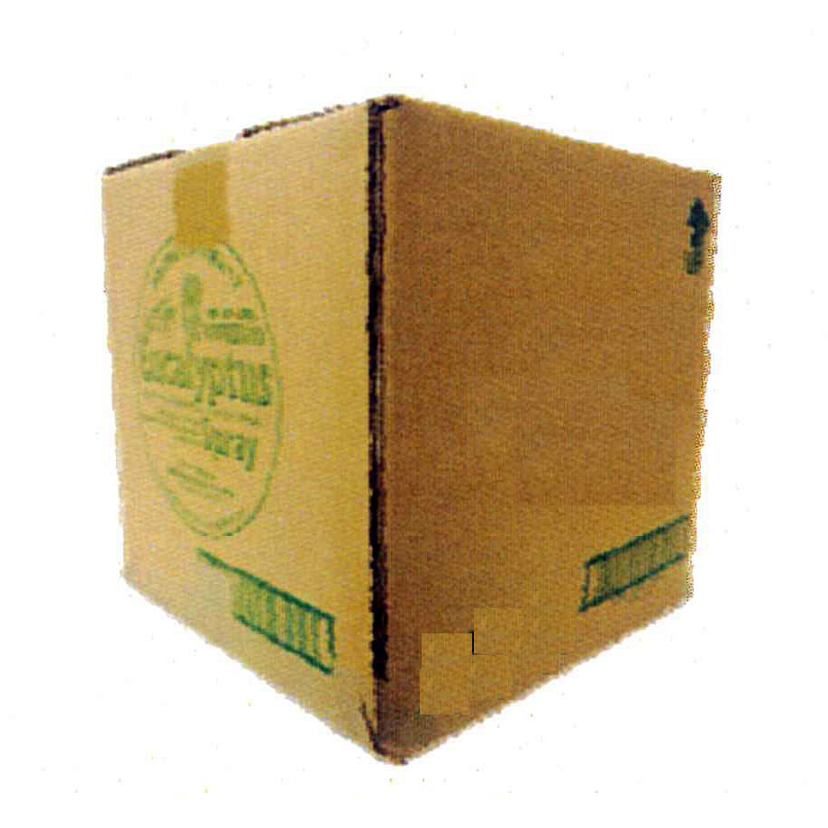 除菌消臭剤 (天然ユーカリ精油　高密度安定純水)M2921RBS-10N