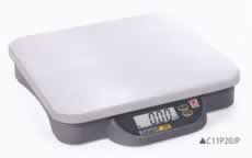 GRm~[䔉MG13C-11P9JPN