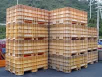 ÃTR[^Rei^N/SK-1000/Z-0366-1