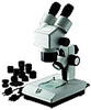 ズーム式顕微鏡