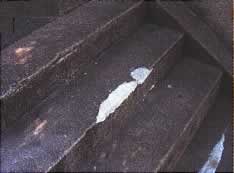 セメント補修材(5kg)M754UT-9221800S