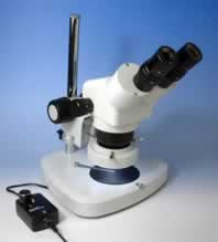 LEDƖtoᎮ̌(`x[X)M511R1040-2ST