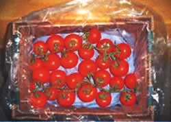 EAPG`zV[g(pbgTCY)M994T-19030K