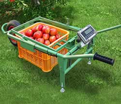 一輪車はかり収穫コンテナ用MC47CART-100KG