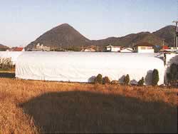 遮熱シート高耐久タイプM1436SPC-2-2M