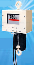 単相100Vチェンブロック250kg/M400H250KG-3M