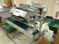 ÃV[ho^e^V[[/SE250T~15H/Z-0657-3