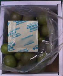 エチレンガス吸収鮮度保持剤/M2401MB-4C