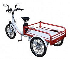 電動アシスト三輪車(レッドホワイト)M645J-17-RW