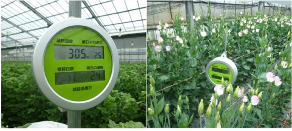 積算温度計M2167R-531M